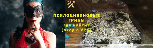 твердый Иннополис