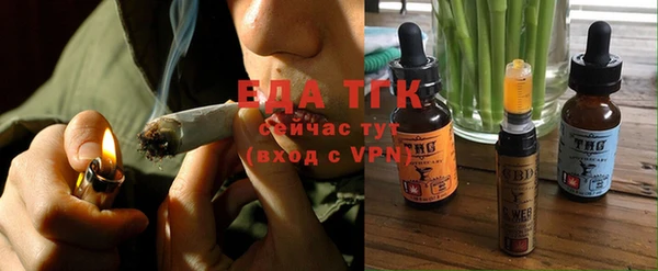 гашик Инсар