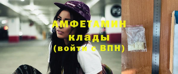 индика Инта
