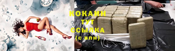 твердый Иннополис