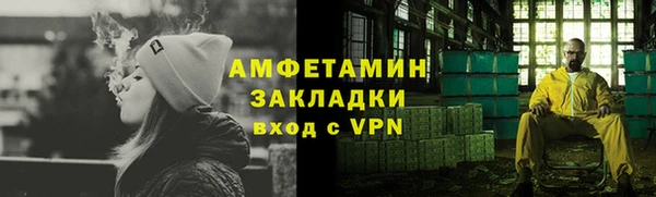 индика Инта