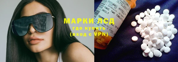 индика Инта