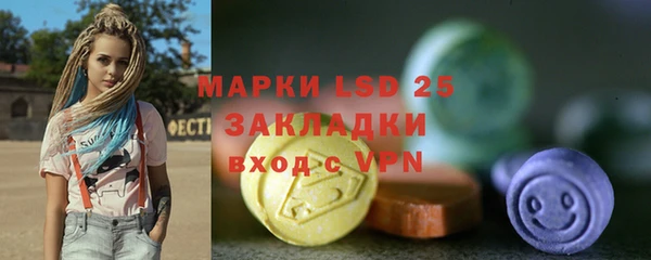 индика Инта