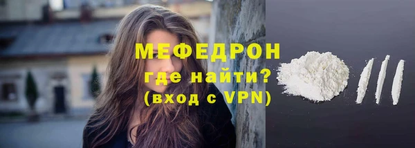 индика Инта