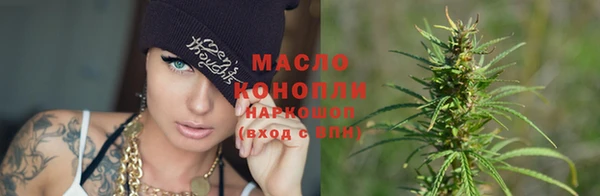 сатива Каменка