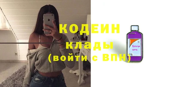 индика Инта