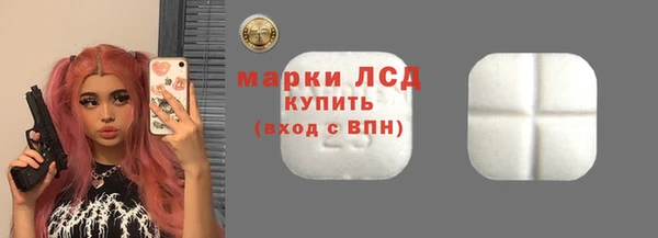 сатива Каменка