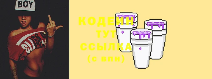 мдпв Тында