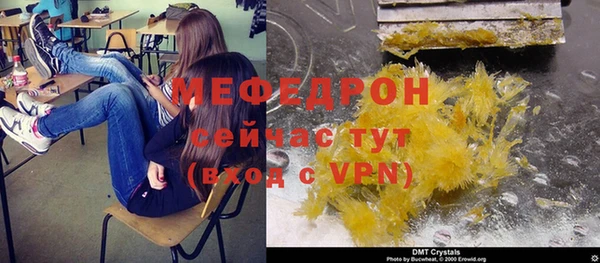 индика Инта