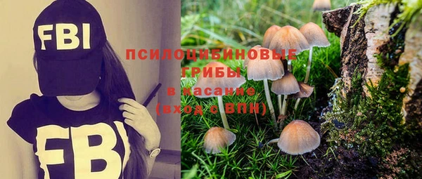 индика Инта
