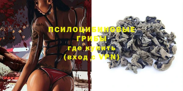 гашик Инсар