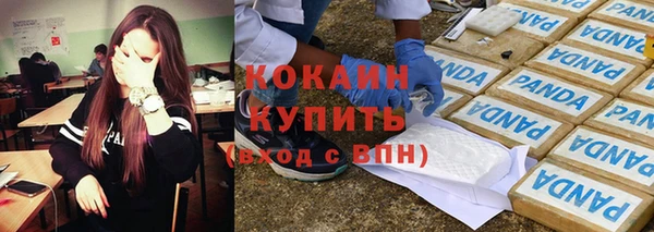 гашик Инсар