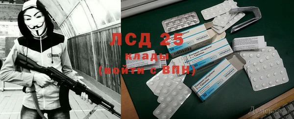 индика Инта