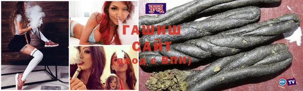индика Инта