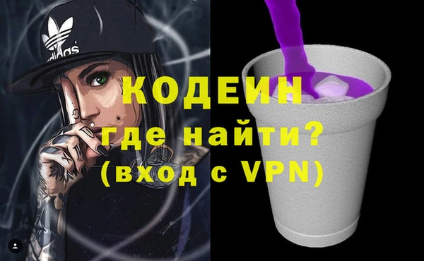 твердый Иннополис
