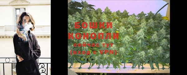 индика Инта