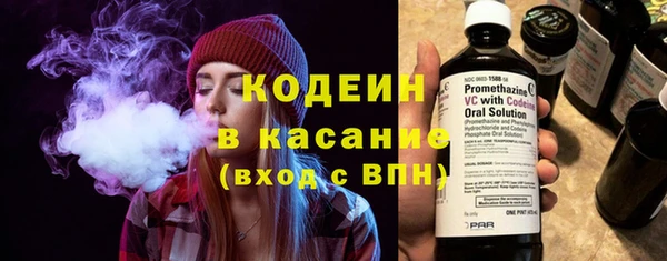индика Инта