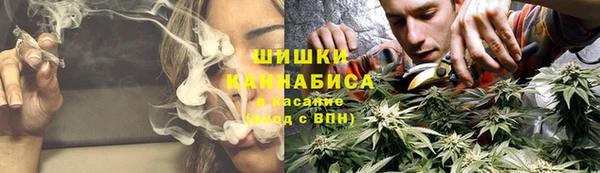 гашик Инсар