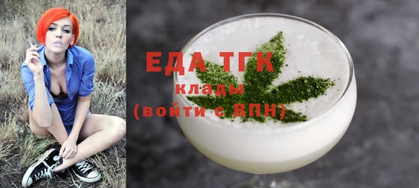 индика Инта