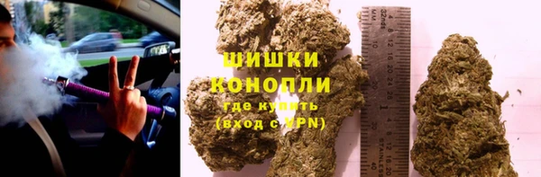 гашик Инсар